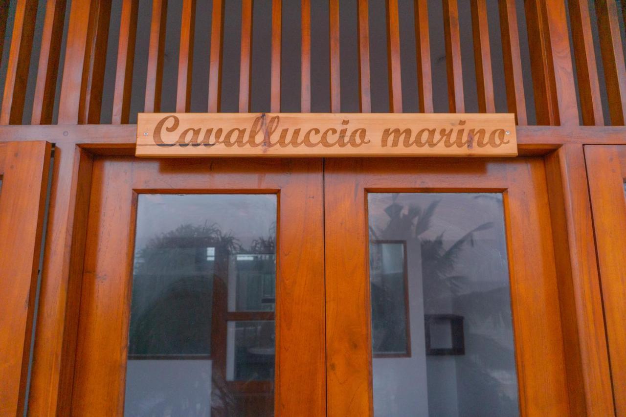 Hotel La Polena Matara Zewnętrze zdjęcie